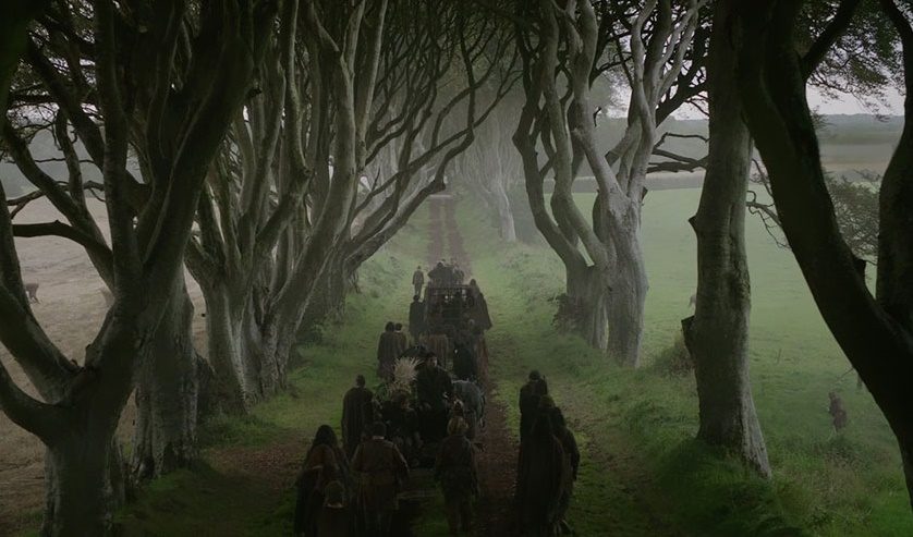 dark-hedges-7106974