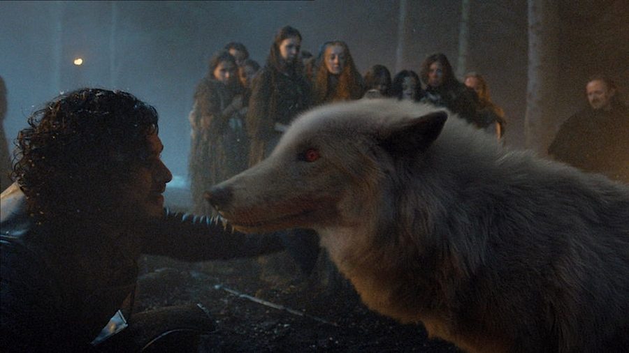 jon-snow-and-ghost-direwolf-being-reunited-4666818