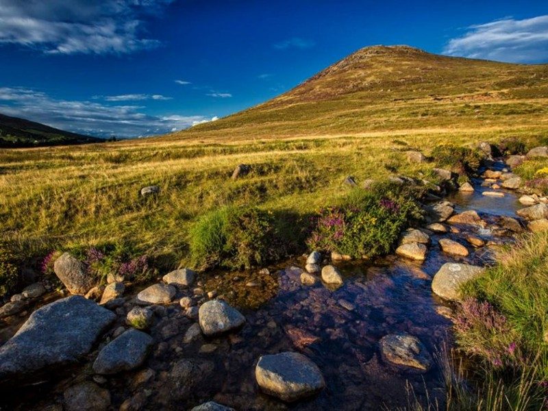 leitrim-lodge-newry-2487976